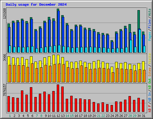 Daily usage for December 2024