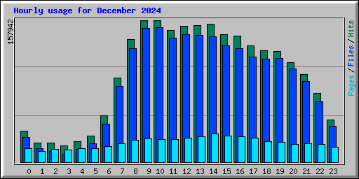 Hourly usage for December 2024